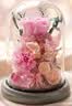 Para Ella玫瑰永生花生日礼物女摆件送老婆妈妈教师节老师实用高档康乃馨 实拍图
