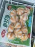 安井鱼籽包 240g/包 鱼糜含量≥45%锁鲜装火锅麻辣烫关东煮食材 实拍图
