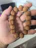 山中玉桃核手串核桃手持文玩密纹蚂蚁纹桃胡佛珠小龙纹盘把玩新年礼物男 脑纹桃核精挑18-20mm左右 实拍图