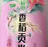 十月稻田 香稻贡米 东北大米 10斤（香米 粳米 5kg/公斤） 实拍图