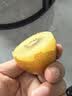 佳沛（zespri）新西兰阳光金奇异果6粒装88-103g猕猴桃水果中秋节礼品送水果礼盒 实拍图