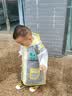 甜甜仔儿童雨衣幼儿男女童防水全身幼儿园防雨服小童女孩3-6岁宝宝雨披 实拍图