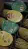佳沛（zespri）新西兰金奇异果8粒特大果124-146g猕猴桃中秋节礼品送水果礼盒 实拍图
