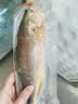 三都港 冷冻黄花鱼700g/2条装 大黄鱼深海鱼 生鲜鱼类 海鲜水产中秋礼品 实拍图