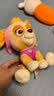 汪汪队立大功（PAW PATROL）毛绒玩具陪睡玩偶经典款天天中号坐姿公仔男女孩儿童生日礼物 实拍图
