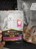 冠能狗粮小型犬成犬狗粮2.5kg 挑食美毛亮眼 全价狗粮  实拍图
