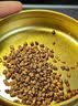 古茶养仁特级黑苦荞茶四川大凉山全颗粒胚芽养生茶500g 1罐【500g】体验装 实拍图