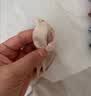 猫人5双船袜女士隐形袜夏季超薄浅口袜子纯色棉底不掉跟夏天硅胶防滑 实拍图
