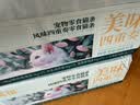 宽福混合四拼猫条零食成猫幼猫猫湿粮鸡肉补水排毛营养14克*200支 实拍图