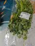 带根香菜100g 实拍图
