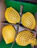 佳沛（zespri）新西兰金奇异果4粒103-114g猕猴桃源头直发中秋节礼品送水果礼盒 实拍图