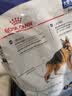 皇家狗粮 成犬狗粮 犬粮 宠物大型犬 GR26全价犬粮≥15月15KG 实拍图