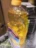多力葵花籽油1.8L小瓶家用压榨食用油中秋送礼 企业福利 实拍图