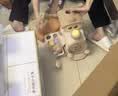 奔尼婴儿学步车手推车儿童玩具1-3岁游戏桌新生儿礼盒周岁生日礼物 实拍图