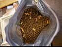 麦富迪猫粮 冻干鲜粮高蛋白成幼猫粮助力免疫 乳鸽鸡肉1.8kg 实拍图
