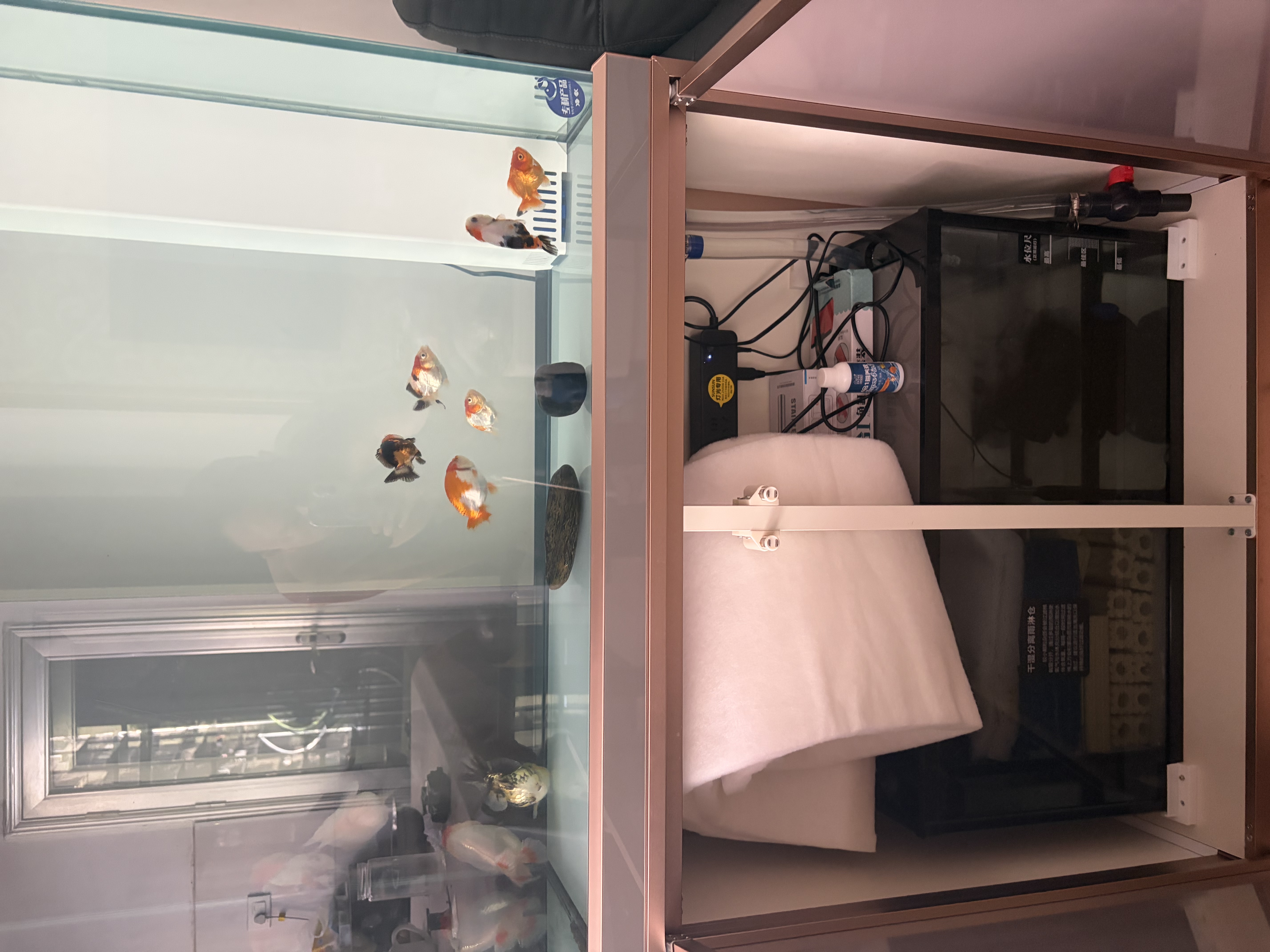 森森（SUNSUN）大型鱼缸底过滤水族箱客厅家用落地玻璃生态金鱼缸 【实时温显+灯控】纳米灰 0.8米长35cm宽 实拍图