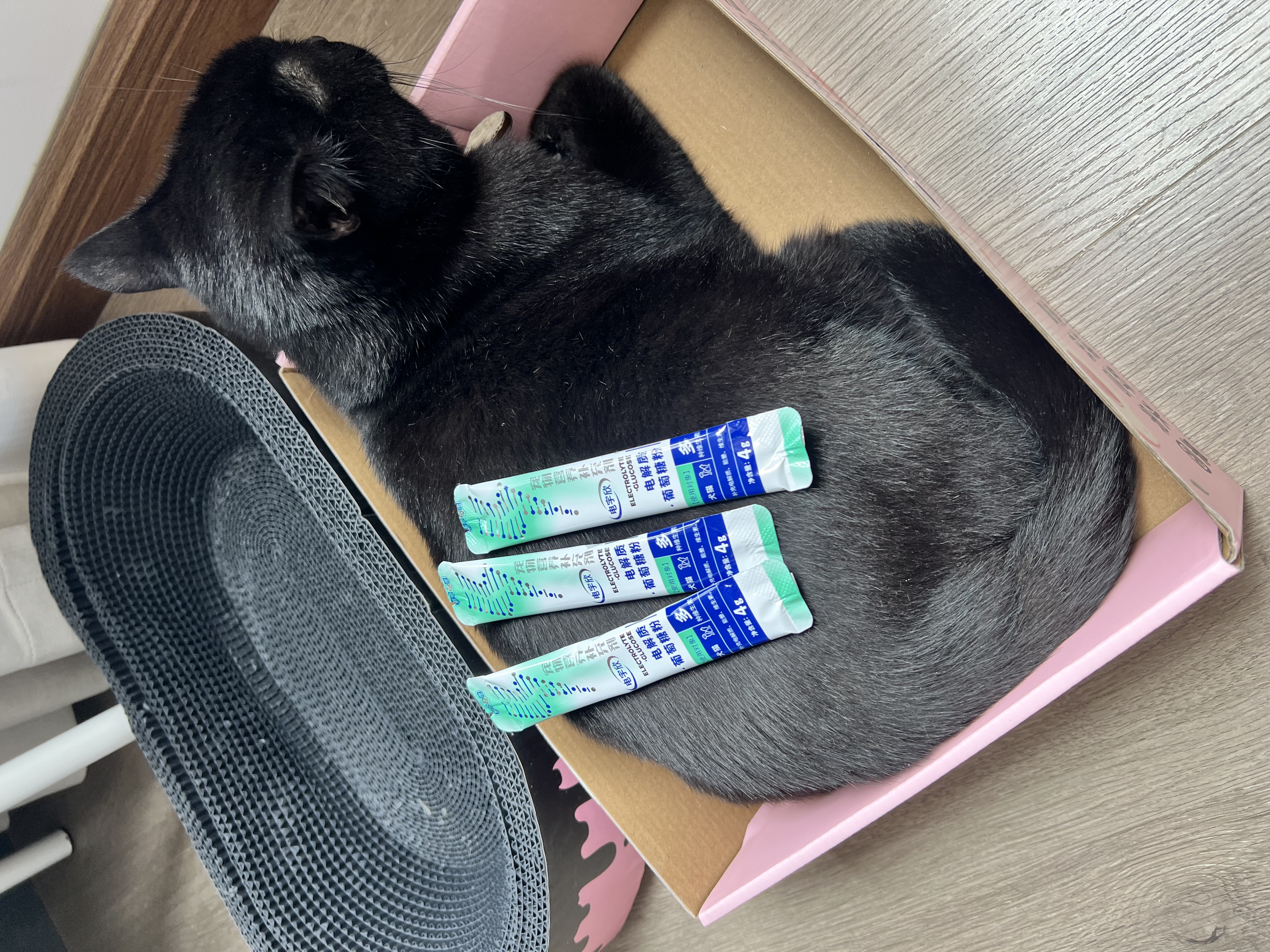 新宠之康宠物猫咪狗狗电解质葡萄糖粉能量恢复体弱虚钾钠液盐脱水中暑应激 实拍图
