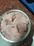 九阳（Joyoung）绞肉机家用小型 绞馅机 搅肉机 打蒜机电动 碎肉机 辅食机2L S18-LA268 实拍图