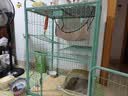 憨憨宠 猫笼大号方管猫笼子猫别墅家用带厕所猫屋猫舍围栏幼猫成猫笼具 升级置物架三层丨清馨绿70*55*111cm【赠猫砂底垫】 实拍图