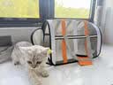 HELLOJOY猫包外出宠物便携单肩书包太空舱背包狗狗猫咪猫笼子外带携带用品 实拍图