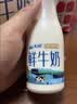 天润新疆产地 鲜牛奶3.8g优质蛋白 巴氏杀菌鲜奶 低温奶210g*6瓶 实拍图