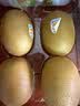 佳沛（zespri）新西兰金奇异果22粒巨大原箱146-175g猕猴桃中秋节礼品送水果礼盒 实拍图