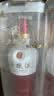 五粮液 1618 2025年 浓香型白酒 52度 500ml 单瓶【名酒鉴真】 实拍图