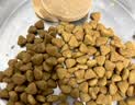 皇家PR27 小型犬成犬狗粮 50g【CRM会员付邮试用专享 请勿单独下单】 实拍图