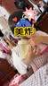 世喜直饮奶瓶2-3岁防喷奶宝宝婴儿ppsu6岁吸管杯300ml随机发货 实拍图