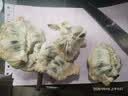 京地达广东林檎大目释迦果净重5斤装单果200g起 新鲜番荔枝源头直发包邮 实拍图