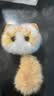 冠能猫粮 成猫猫粮鸡肉味10kg 全价猫粮 稳固免疫【宠物金选】 实拍图