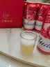百威经典红罐啤酒552ml*12罐整箱装中秋送礼 实拍图