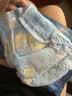 sister care婴儿游泳纸尿裤宝宝尿不湿一次性防水游泳裤防止感染拉拉裤L码5片 实拍图