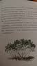 语文报小学生同步金奖作文（三年级）同步教材 满分优秀作文 好词好句 写作提升教辅书 开学季 实拍图