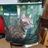 网易严选全价鲜鸡肉猫粮J40 生骨肉无谷主食冻干 成幼猫草本植萃10kg 实拍图