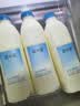 简爱原味裸酸奶 1.08kg*1瓶 家庭装大桶酸奶 生牛乳发酵 乳酸菌早餐奶 实拍图