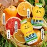 金豆芽儿童金银花柚子汁155ml*16瓶夏天孩子饮料宝宝果汁西柚汁 实拍图