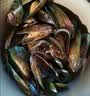 海鲜世家新西兰熟冻原汁全壳青口贝净含量1kg 21-26只/袋原装进口贝类 实拍图