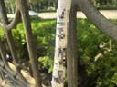 铸固接地针 镀锌圆钢接地桩避雷针家用接地棒工程防雷接地极地线杆 一字焊板16mm*1000mm热镀锌 实拍图