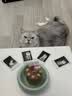 INSTAX富士instax立拍立得 mini相纸 白边双包20张(适用miniSE/11/12/40/90/LiPlay/EVO/Link3) 实拍图