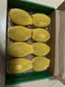 佳沛（zespri）新西兰金奇异果10个装单果重103-114g猕猴桃中秋节礼品送水果礼盒 实拍图