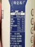 蒙牛特仑苏纯牛奶200mL*24盒 家庭囤货整箱牛奶早餐奶  实拍图
