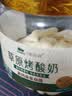 西域美农高钙烤酸奶118g 高钙高蛋白质烤奶皮奶条奶酪乳制品饼干零食 实拍图