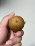 佳沛（zespri）新西兰阳光金奇异果6粒装88-103g猕猴桃水果中秋节礼品送水果礼盒 实拍图