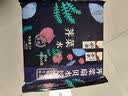 船歌鱼水饺荠菜扇贝水饺 240g*2袋 24个 生鲜健康早餐速食面点生鲜速冻饺子 实拍图