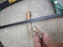 绿林（GREENER）美式手锯子家用小型手工木工线锯手拉木头神器钢丝锯拉花万能 实拍图