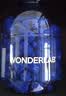万益蓝WONDERLAB 小蓝瓶益生菌180瓶4.0 益生菌肠胃消化粉 脾胃虚弱 实拍图