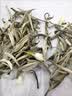 越峰茉莉银针正宗广西茉莉花茶特级2026年新茶自己喝250g口粮茶送礼 实拍图