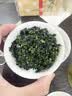 飘香韵正宗铁观音500g茶叶 清香型春茶特级2026新茶安溪乌龙茶礼盒装 实拍图