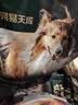 网易严选犬粮 全价高鲜肉冻干双拼幼犬成犬中大型狗粮通用 10kg 实拍图